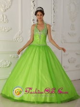 2013 Bahia Blanca Argentina A-line Popular Spring Green Halter-top Quinceanera Gowns With Tulle Beaded Decorate Style QDZY347FOR 