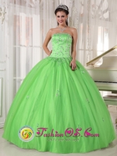 2013 Lomas de Zamora  Argentina Spring Green Appliques Decorate Quinceanera Dress With Strapless Taffeta and Tulle Ball Gown  Style PDZY596FOR