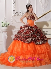 2013 Customer Made Sweetheart Neckline With Brush Leopard and Organza Appliques Decorate sweet sixteen Dress In Phoenix Style QDZY333FOR