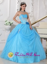 Nuevitas Cuba Fashionable Aqua Blue Sweet sixteen Ball Gown Dress With Strapless Neckline Flowers Decorate On Organza Style QDZY556FOR