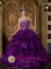 Placetas Cuba Appliques and Ruffles Decorate Bodice Pretty Eggplant Purple sweet sixteen  Dress Strapless Organza For 2013 Quinceanera Style QDZY244FOR 