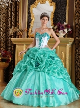 sixteen Dress In 2013 Quinceanera Spring Party Style QDZY236FOR
