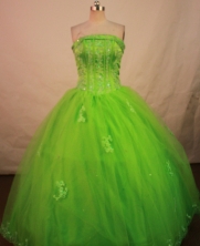 Popular Ball Gown Strapless Floor-length Spring Green Organza Quinceanera dress Style LJ42455