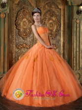  Sweetheart  Orange 2013 Quinceanera Dress Appliques Floor-length Organza Ball Gown IN Cuscatancingo   El Salvador Style QDZY188FOR  