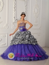 Customer Made Brand New Zebra and Organza Purple Quinceanera Dress For Custom Made Strapless Chapel Train Ball Gown in Apaneca El Salvador Style QDZY322FOR
