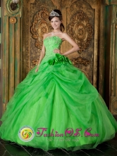 Spring Green Hand Made Flowers Appliques Decorate Fabulous Quinceanera Dress For 2013 IN San Salvador    El Salvador Style QDZY196FOR