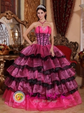 2013 Escuintla Guatemala Brand New Multi-color Quinceanera Dress For Sweetheart Organza Ruffles Gorgeous Ball Gown for Graduation Style QDZY554FOR