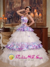 2013 La Esperanza Guatemala Customize Exquisite Hand Made Flowers Elegant Organza and Printing Quinceanera DressFor Quinceanera Style QDZY426FOR