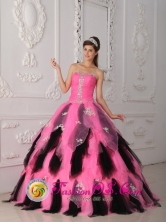 2013 Retalhuleu Guatemala Customer Made Beautiful Pink and Black Princess Quinceanera Dress For Spring Style QDZY262FOR