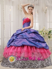 2013 San Pablo Guatemala Colorful Exclusive Quinceanera Dress With purple Taffeta and pink Organza and Zebra Pick-ups in Summer Style QDZY441FOR