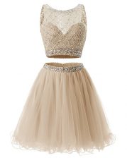  Mini Length A-line Sleeveless Champagne Prom Party Dress Side Zipper