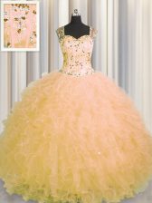  See Through Zipper Up Floor Length Ball Gowns Sleeveless Gold 15th Birthday Dress Zipper