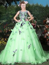  Scoop Apple Green Organza Zipper Ball Gown Prom Dress Sleeveless Brush Train Appliques