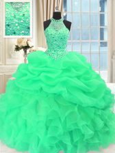  Scoop Sleeveless Quince Ball Gowns Floor Length Beading and Pick Ups Organza