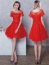  Scoop Tulle Short Sleeves Mini Length Dama Dress for Quinceanera and Lace