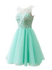 Exceptional Scoop Apple Green Tulle Clasp Handle Prom Evening Gown Sleeveless Knee Length Lace