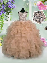  Scoop Sequins Pink Sleeveless Organza Zipper Little Girls Pageant Gowns for Party and Wedding Party