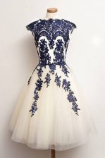 Romantic Blue And White A-line Scalloped Cap Sleeves Tulle Knee Length Zipper Appliques Prom Dress