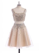 Free and Easy Straps Sleeveless Zipper Prom Evening Gown Champagne Organza