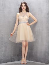  Scoop Champagne Sleeveless Tulle Zipper Prom Evening Gown for Prom