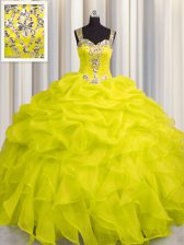 Flare See Through Zipper Up Organza Sleeveless Floor Length Quinceanera Gowns and Appliques and Ruffles
