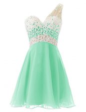  One Shoulder Apple Green Sleeveless Chiffon Criss Cross Evening Dress for Prom and Party