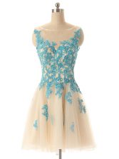 Gorgeous Bateau Sleeveless Tulle Homecoming Dress Beading and Appliques Zipper