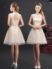  Champagne Sleeveless Tulle Lace Up Quinceanera Dama Dress for Prom and Party and Wedding Party