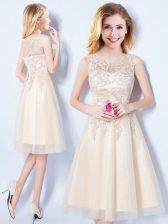  Champagne A-line Scoop Sleeveless Tulle Knee Length Lace Up Appliques Dama Dress