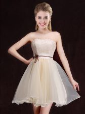  Champagne A-line Lace Quinceanera Court Dresses Lace Up Organza Sleeveless Mini Length