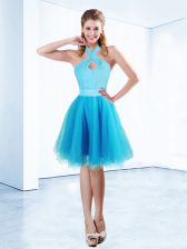  Halter Top Aqua Blue Sleeveless Organza Zipper Dress for Prom for Prom and Party
