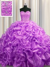 Adorable Organza Sleeveless With Train Sweet 16 Quinceanera Dress Court Train and Beading and Pick Ups