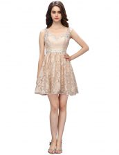 Luxury Champagne Side Zipper Sweetheart Lace Prom Dresses Lace Sleeveless