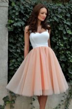 Decent Sleeveless Zipper Knee Length Ruching Dress for Prom