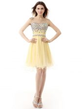  Light Yellow Sleeveless Organza Zipper Prom Evening Gown for Prom and Party