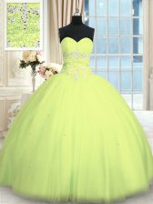 Fantastic Sleeveless Lace Up Floor Length Appliques Quinceanera Gowns
