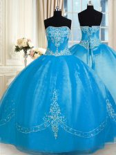 Stunning Baby Blue Ball Gowns Strapless Sleeveless Tulle Floor Length Lace Up Embroidery Quinceanera Gowns