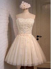 Custom Designed Sleeveless Mini Length Appliques Lace Up Prom Gown with Champagne