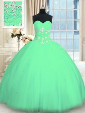 Admirable Sleeveless Lace Up Floor Length Appliques 15th Birthday Dress