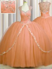  See Through Back Cap Sleeves With Train Beading and Appliques Zipper Quinceanera Gown with Orange Brush Train