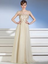 Fashionable Champagne Side Zipper Prom Dresses Appliques Sleeveless Floor Length