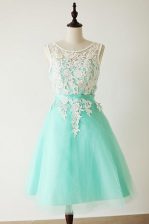  Apple Green Sleeveless Tulle Zipper Prom Dresses for Prom and Party