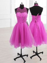Adorable Organza Sleeveless Knee Length Homecoming Dress and Sequins