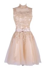 High Class Champagne Sleeveless Tulle Zipper Dress for Prom for Prom and Party