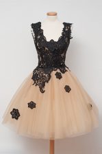 Extravagant Tulle Square Sleeveless Zipper Appliques Homecoming Dress in Champagne