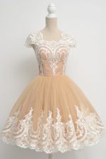 Perfect Scoop Cap Sleeves Zipper Prom Evening Gown Champagne Tulle