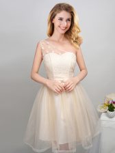 Excellent One Shoulder Mini Length A-line Sleeveless Champagne Court Dresses for Sweet 16 Lace Up