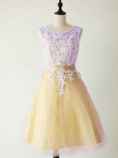  Sleeveless Lace Lace Up Quinceanera Dama Dress
