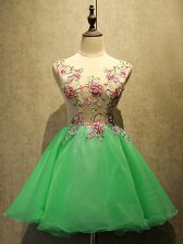  Green A-line Scoop Sleeveless Organza Mini Length Lace Up Embroidery 