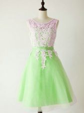 A-line Scoop Sleeveless Tulle Knee Length Lace Up Lace Quinceanera Court Dresses